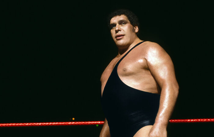 When Did Andre The Giant Die